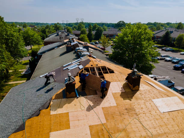 Best Flat Roof Repair Services  in Morgantown, IN